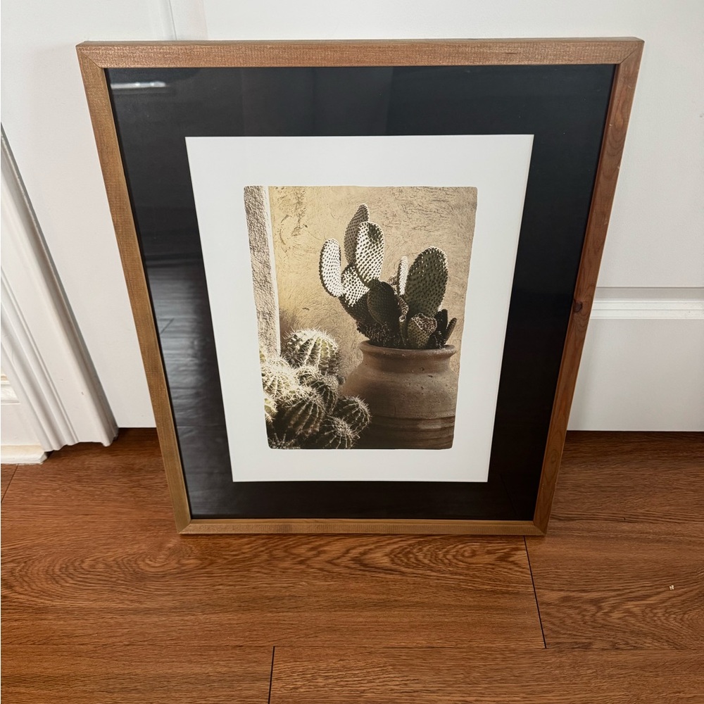 Framed Cactus Art Print with Brown Frame